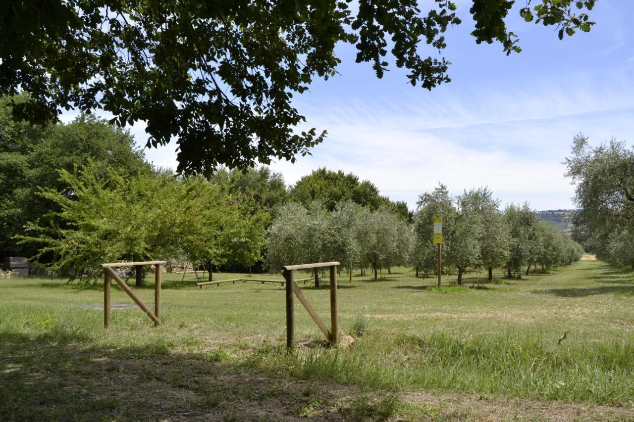 Country house Forestale Luti