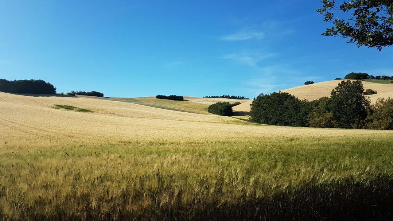 Forestale Luti Country house Treia