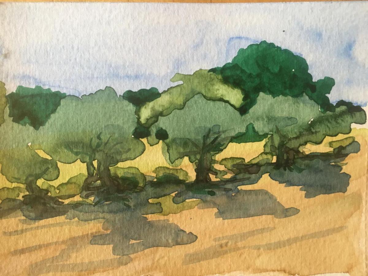 Forestale Luti Casa di campagna